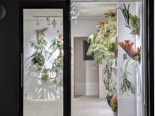 ユニ(uni)の雰囲気(植物いっぱいの入り口でお待ちしております)
