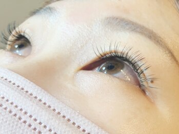 デイジー(Daisy)/フラットラッシュ120本