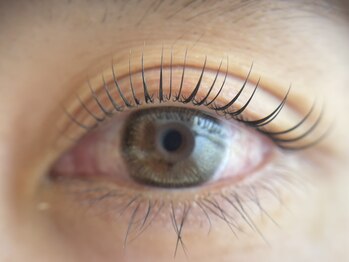 アイラッシュサロン アイリー(eyely)の写真/【アッパーイーストラッシュ（ラッシュリフト）初回¥4400/まつ毛パーマ¥4500】垢抜けまつ毛ならぜひ★