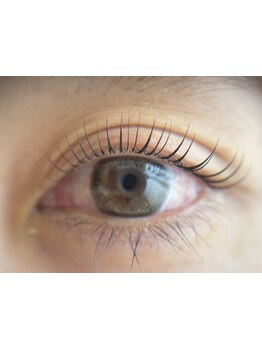 初めての方にオススメ