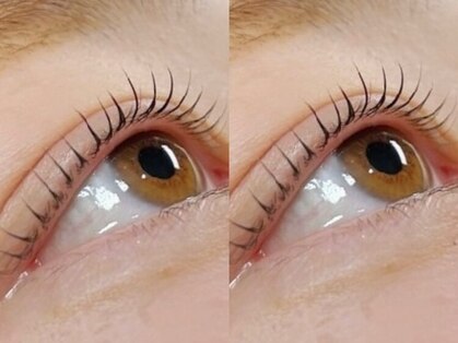 ニーム(NEEM)の写真