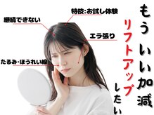 やなけん 亀戸店
