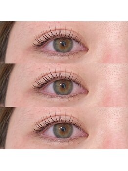 シュガー(Sugar)/ラッシュリフト