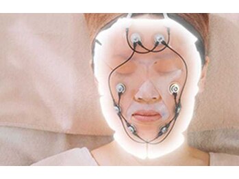 レインボー ファクトリー(Rainbow Factory 78)/【EMS BF-151 お顔】