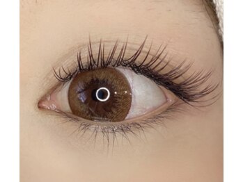 シュシュ(chou chou)/フラットラッシュ《ブラウン》