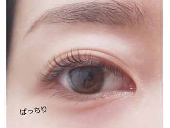 ティーラッシュ(T lash)/ケラチンラッシュリフト