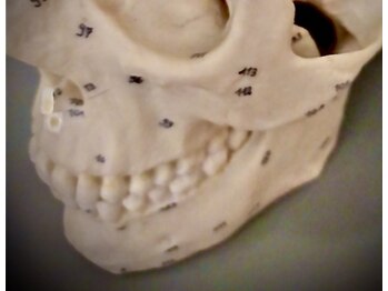 長寿堂 中医整体院/アゴ、顎関節の不調は、任せて！