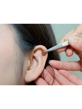 初めての方にオススメ