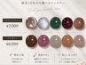 【ジェル】ご新規様\限定10色選択ワンカラー/丁寧な甘皮ケア付き¥6000~