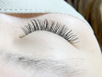 デイジー(Daisy)/フラットラッシュ