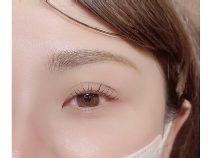 アイラッシュマルヴァ(Eye Lash Malva)の写真