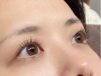 ローヴ(L'aube)の写真