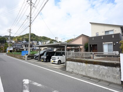 癒しの森の写真