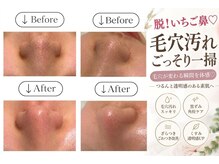 ジェミー(Gemmy)