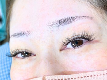 ステラ/ボリュームラッシュ120束