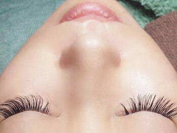 シェリー(Sherry)/デザイン