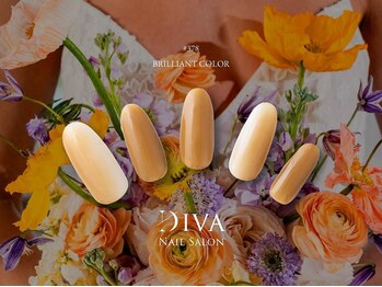 ディーバ 海老名店(Diva)/ワンカラープラス