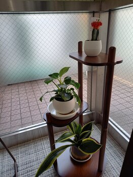 まつだ鍼灸整骨院/心と身体の疲れに