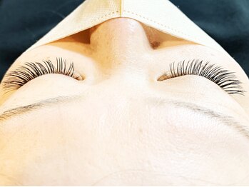 デイジー(Daisy)/バインドロック100束