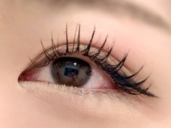 リンクス(LEM LINKS)/束感まつ毛エクステンション