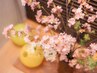 【2回目以降の方】最上級◎ SAKURA アロマリンパマッサージ＋ヘッド　150分