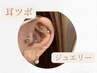 【NEW】耳つぼジュエリー 両耳12粒　￥4400