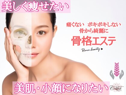 セルフィッシュ(Cellfish)の写真