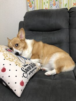 サロンドフィル(Salon de fil)/隠し撮り失敗