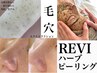 【2回目以降の方】最新毛穴洗浄×REVI陶肌トリートメント(幹細胞セラム付)