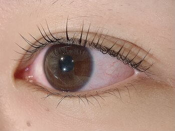 カラン 焼津店(CALIN)/ラスティングカール