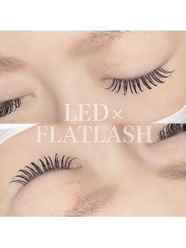 スイ(SUI)/LEDマツエク♪