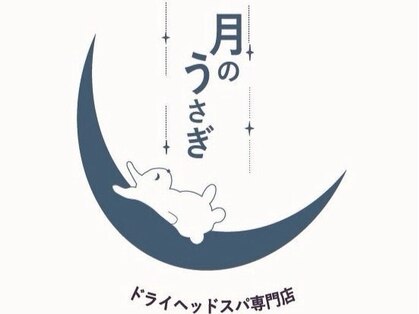 月のうさぎの写真