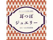 リーズ(Rees)の雰囲気（2日間の限定開催☆先着順ですよ！）