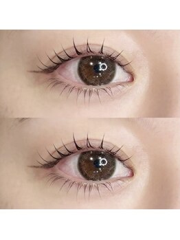 トーン 渋沢店(TONE.)/マツエク シングルラッシュ100