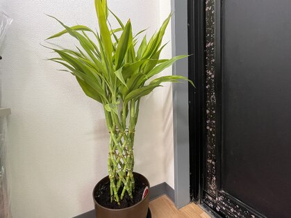 もみほぐし楽円の写真