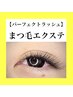 持続力高　毛先まで濃い仕上がり　パーフェクトラッシュ60束　￥7700