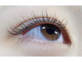 ラグゼ(Laxce)/Cカール 120本