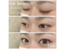 リリス(l’iris)/フラットラッシュ100本