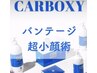 《本場韓国式超小顔術》高濃度炭酸パック（韓国肌管理LED&プチヘッドスパ付）