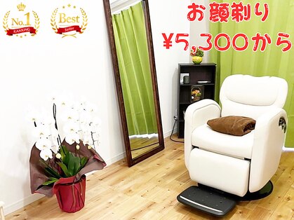 ココア(Cocoa)の写真