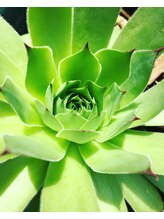 ラピスミー(mii)/サロン内観