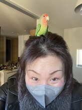 シャイン(Shine)&nbsp;山田 美樹