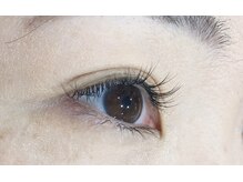 シルフ 石橋店(Sylph)/プレミアムカシミヤ