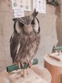 ルーム 津田沼店(ROOM)&nbsp;動物好きです(*^^*)