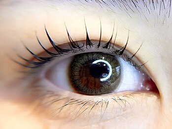 アイラッシュ ハチ(EYELASH 8)/カール&ティント