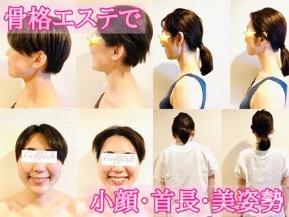 セルフィッシュ(Cellfish)の写真