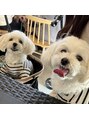 アネロ 浜松 曳馬店(anello)&nbsp;わんちゃん大大大好きです！最近とっても仲良しになりました♪