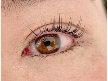 ヴィフ(Vif)/パリジェンヌラッシュリフト