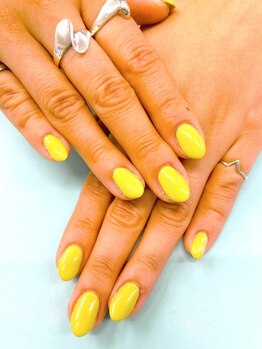 ブルーバード(BLUE BARD)/ワンカラー