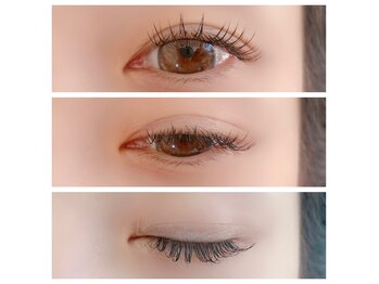 アルビコッコ(Albicocco)